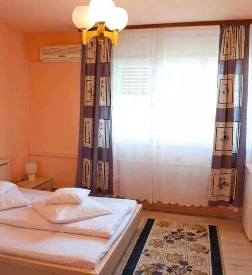 Hotel Pensiunea Vlad