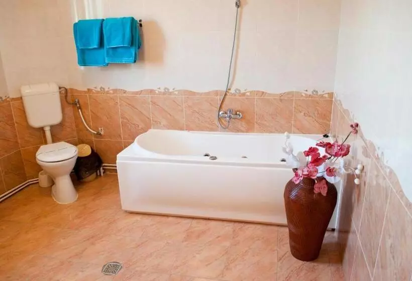 Hotel Pensiunea Vlad