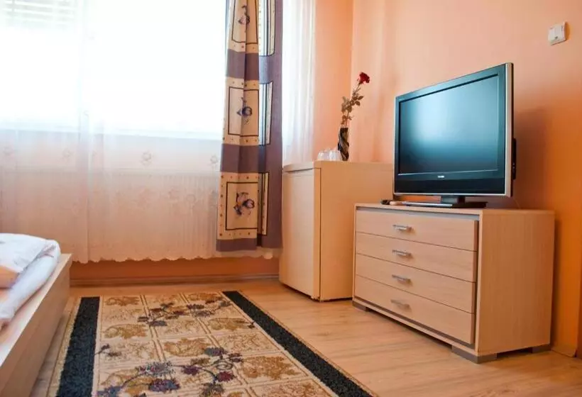 Hotel Pensiunea Vlad