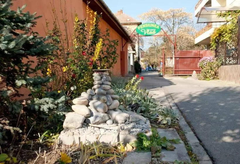 Hotel Pensiunea Vlad