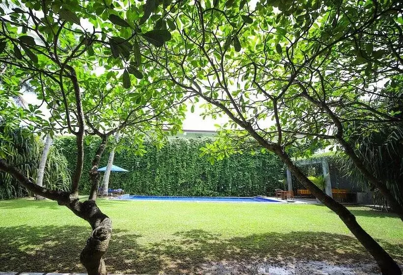 Hôtel Saffron And Blue