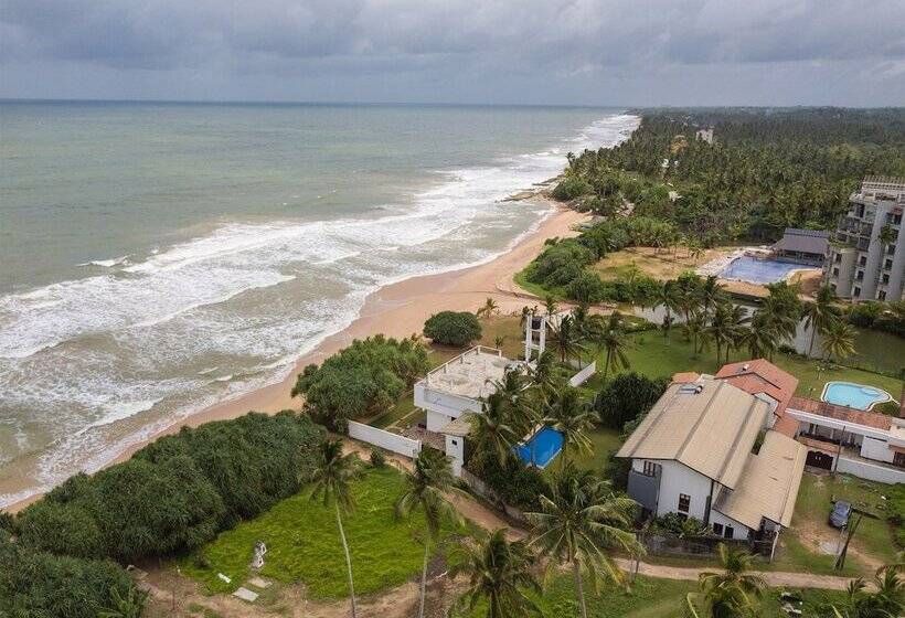 בית מלון כפרי Saffron And Blue