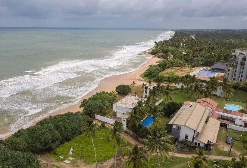 Hôtel Saffron And Blue