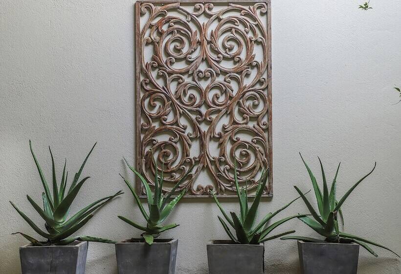 בית מלון כפרי Saffron And Blue