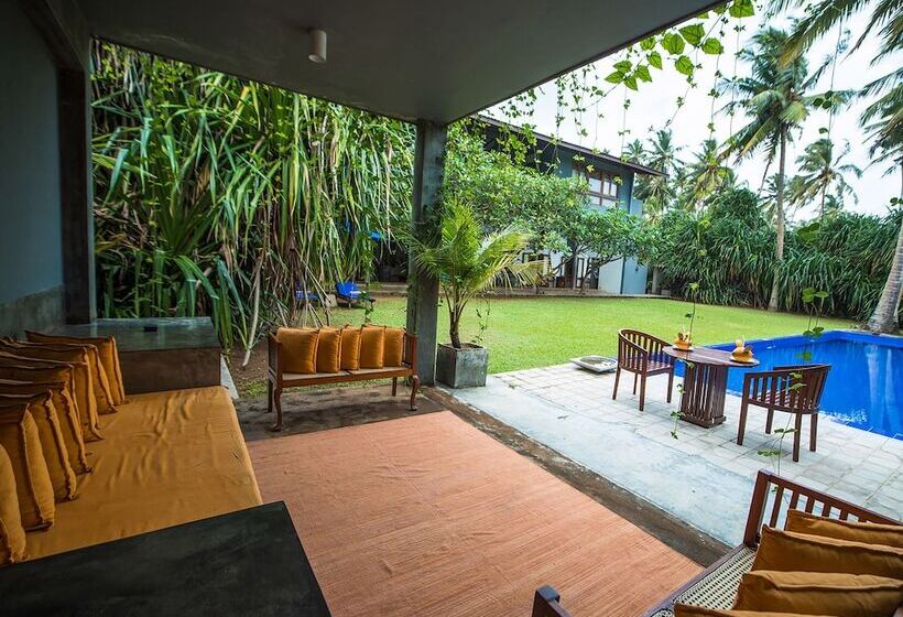 בית מלון כפרי Saffron And Blue