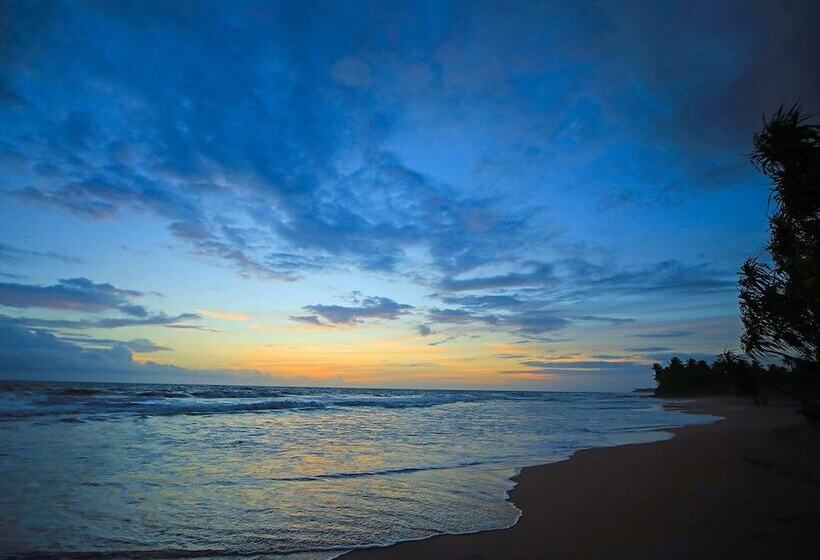 בית מלון כפרי Saffron And Blue