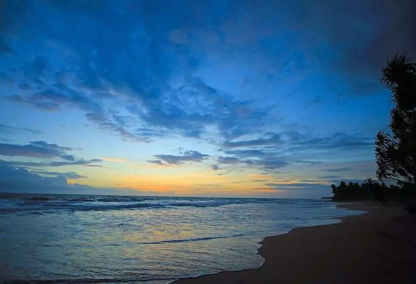 Hôtel Saffron And Blue