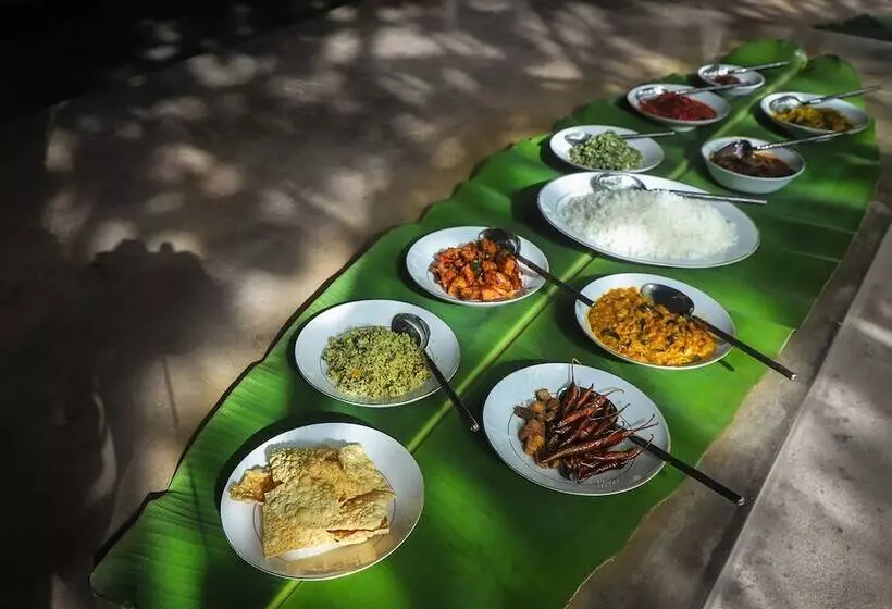 Hôtel Saffron And Blue