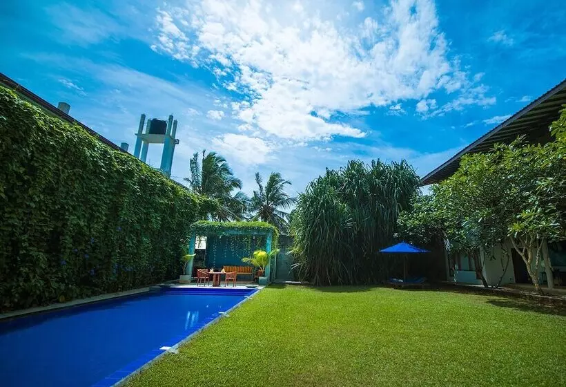 Hôtel Saffron And Blue