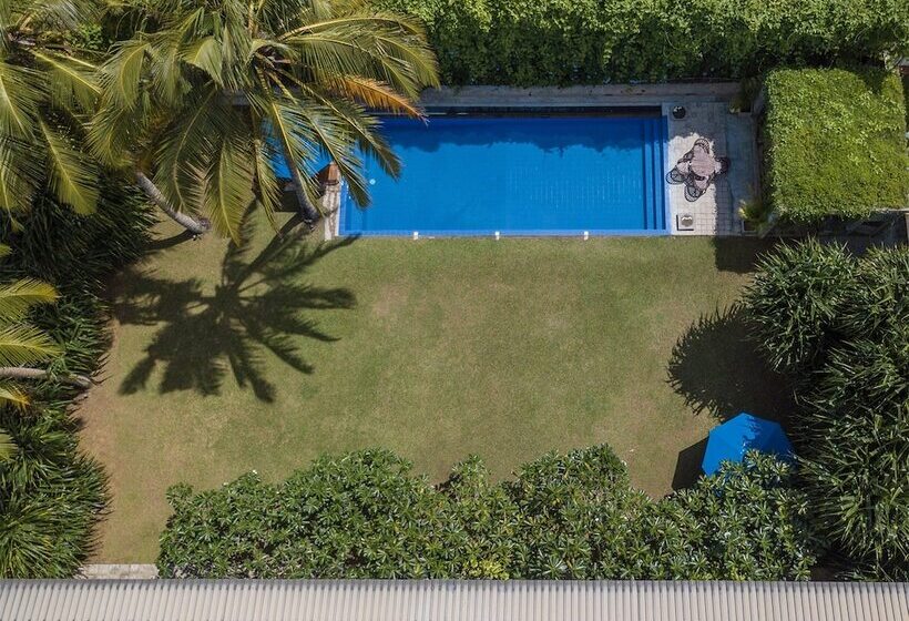 בית מלון כפרי Saffron And Blue