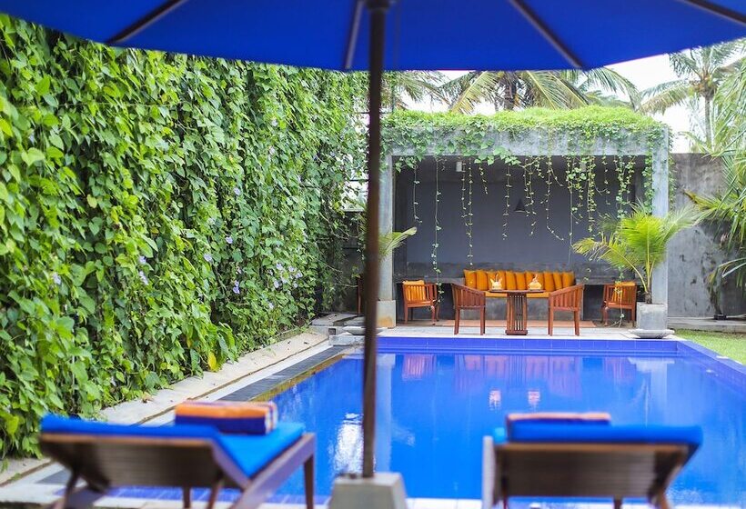 בית מלון כפרי Saffron And Blue