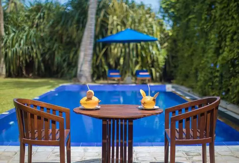 Hôtel Saffron And Blue