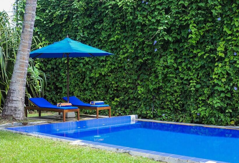 בית מלון כפרי Saffron And Blue