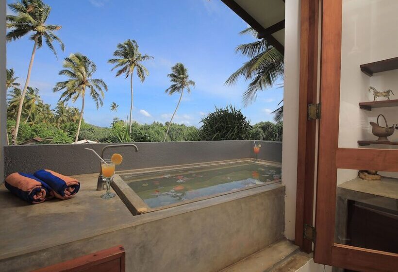 בית מלון כפרי Saffron And Blue