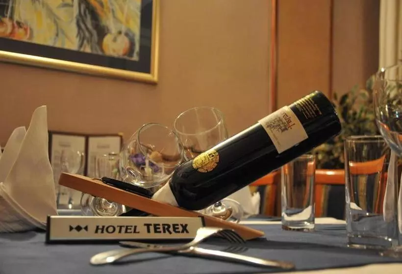 هتل Terex