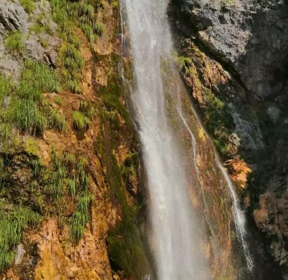 تختخواب و صبحانه Bujtina Pllumi Theth