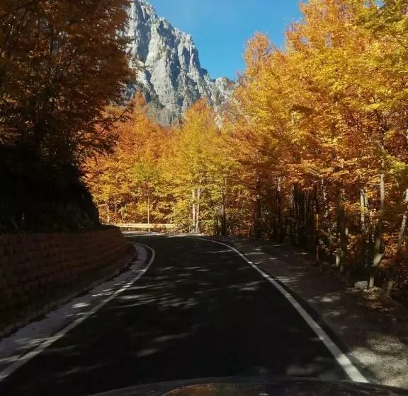 تختخواب و صبحانه Bujtina Pllumi Theth
