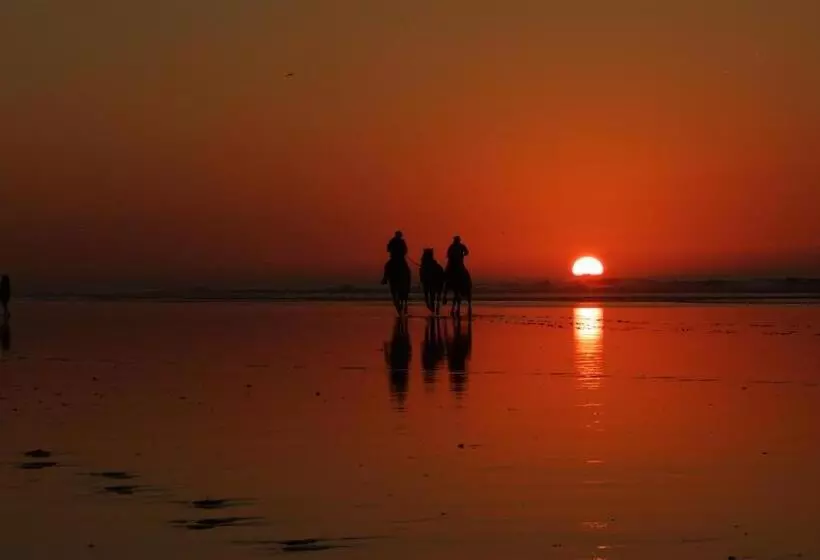 Happy Surf Hostel