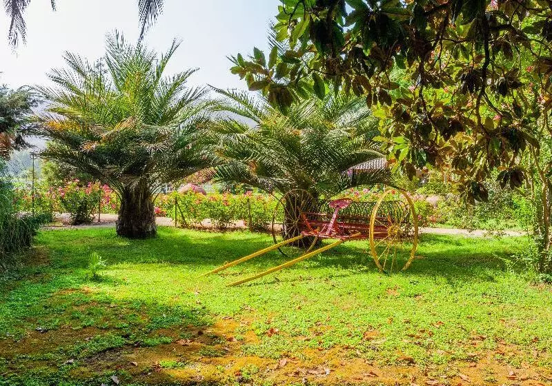 Hotelli Boutique Almahue