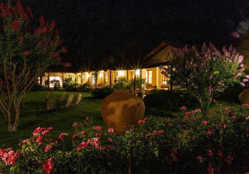 호텔 Boutique Almahue