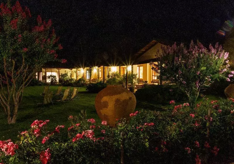 Hotelli Boutique Almahue