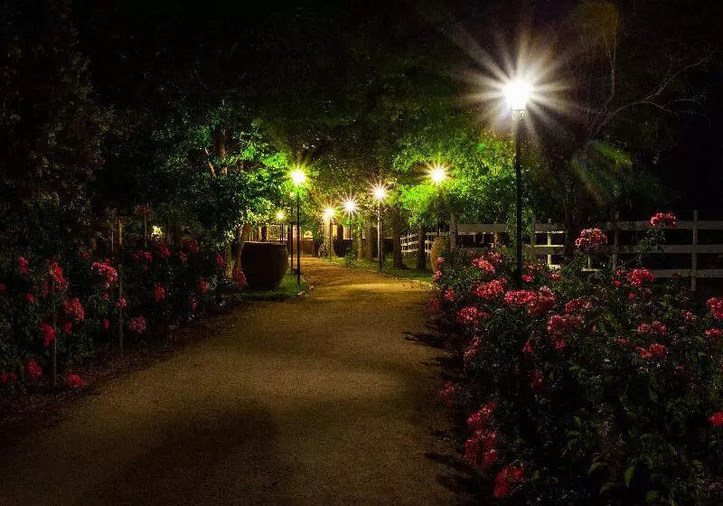 Hotelli Boutique Almahue