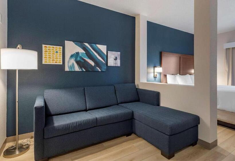 בית מלון כפרי Comfort Inn & Suites Bennett