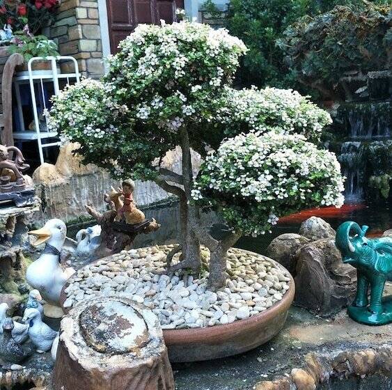 هتل First Baby Bytes Guest House