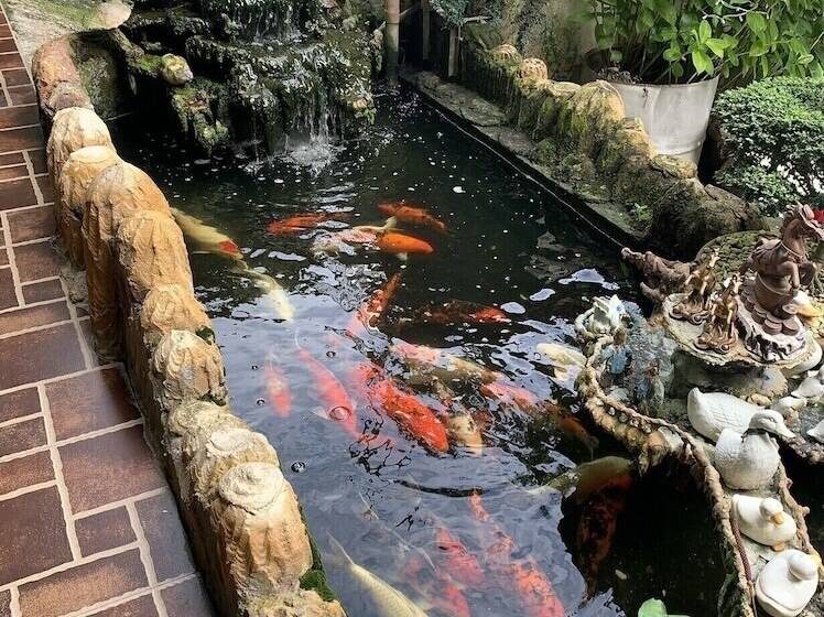 هتل First Baby Bytes Guest House