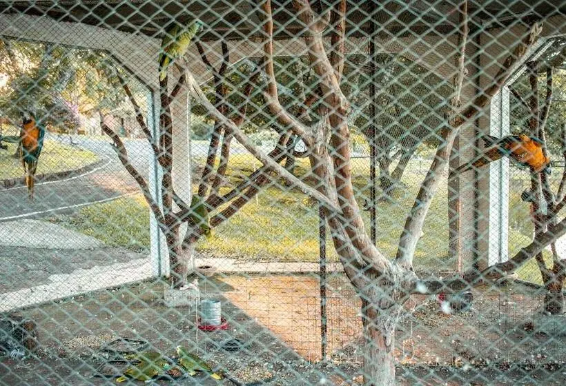 Hotelli Maestro Aguas Quentes De Beltrao