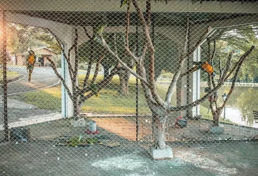 Hotelli Maestro Aguas Quentes De Beltrao