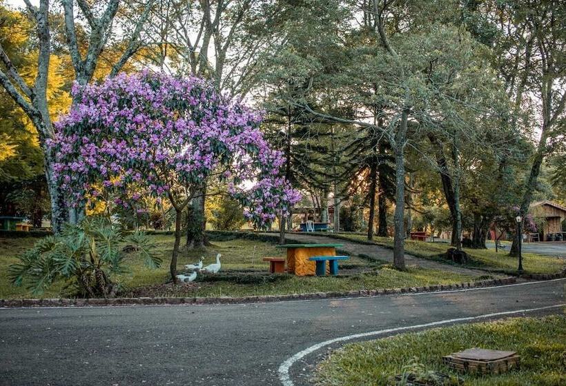 Hotel Maestro Aguas Quentes De Beltrao