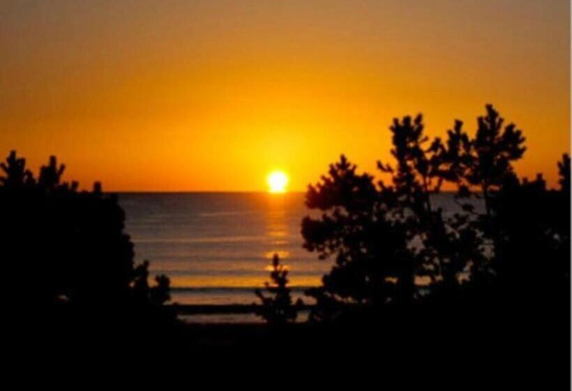 Hotel Nest West Garden Tosa