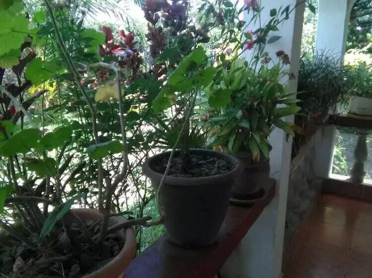 هتل Victoria Court