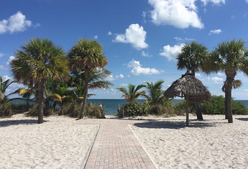 בית מלון כפרי Beach Haus Key Biscayne