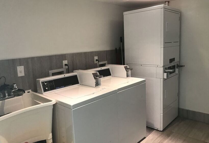 בית מלון כפרי Beach Haus Key Biscayne