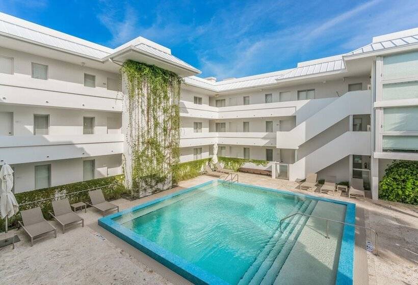 בית מלון כפרי Beach Haus Key Biscayne