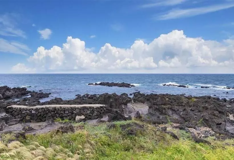 Jeju Stay Dalggum Pension