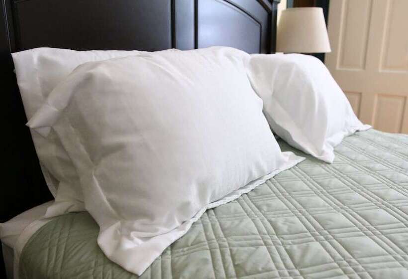 Отель Allegheny Trail House