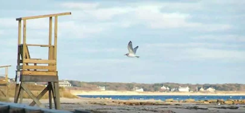 酒店 Handkerchief Shoals Inn