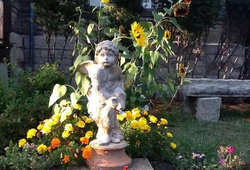 ホテル Manderley Bed And Breakfast