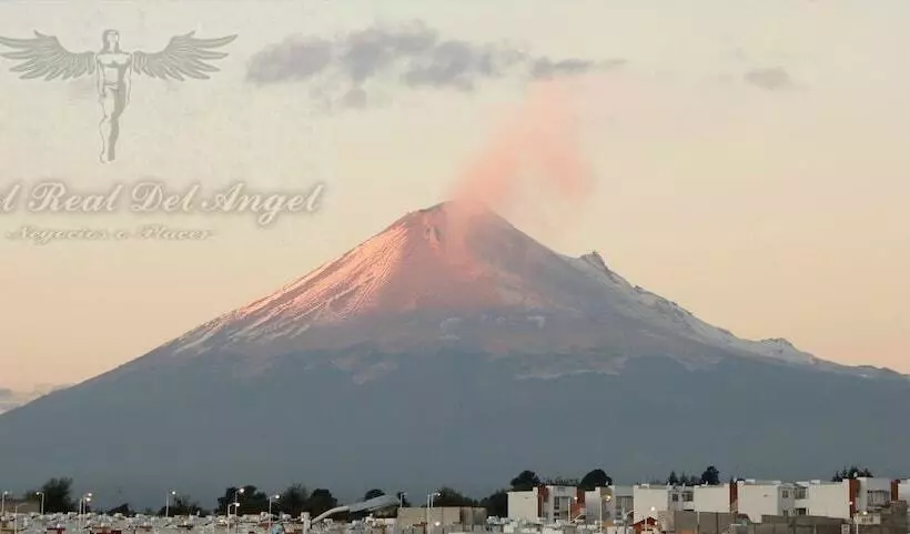 ホテル Real Del Angel