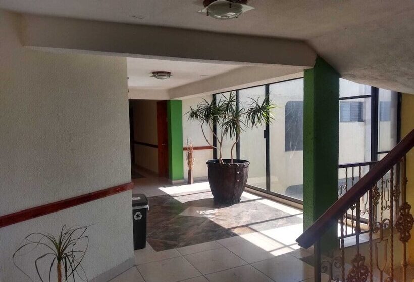 Отель Real Del Angel