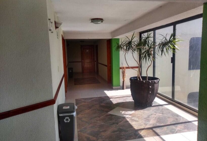 Отель Real Del Angel