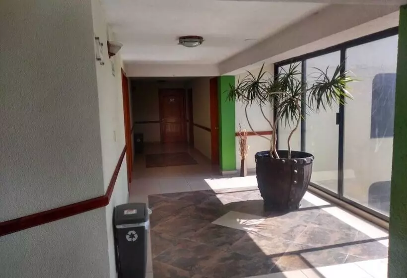 ホテル Real Del Angel