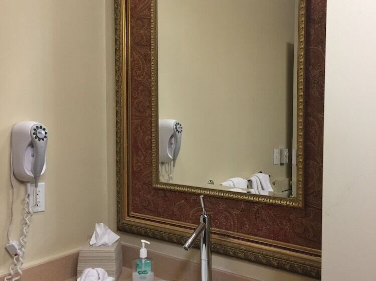 هتل Boggs Mansion