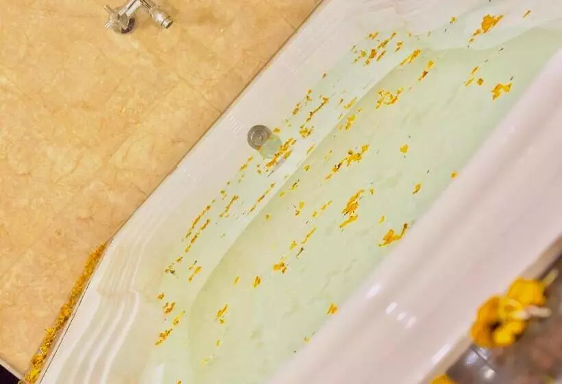 ホテル Tara Palace Resort And Spa