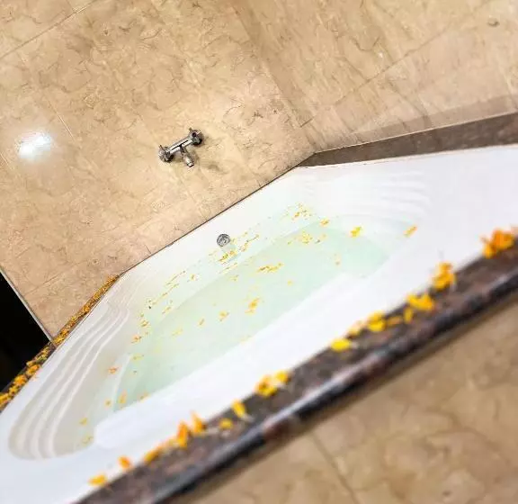 ホテル Tara Palace Resort And Spa