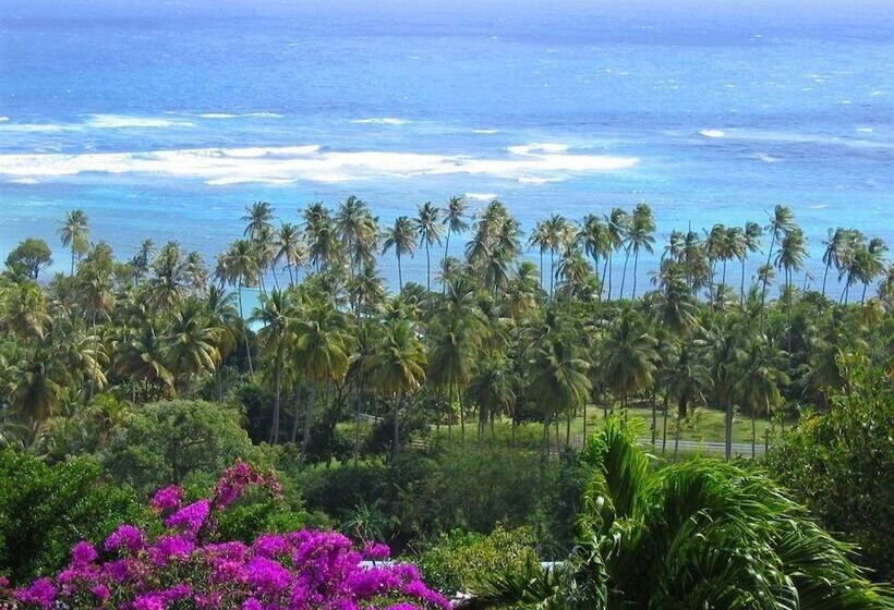 هتل Sugar Reef Bequia Adults Only