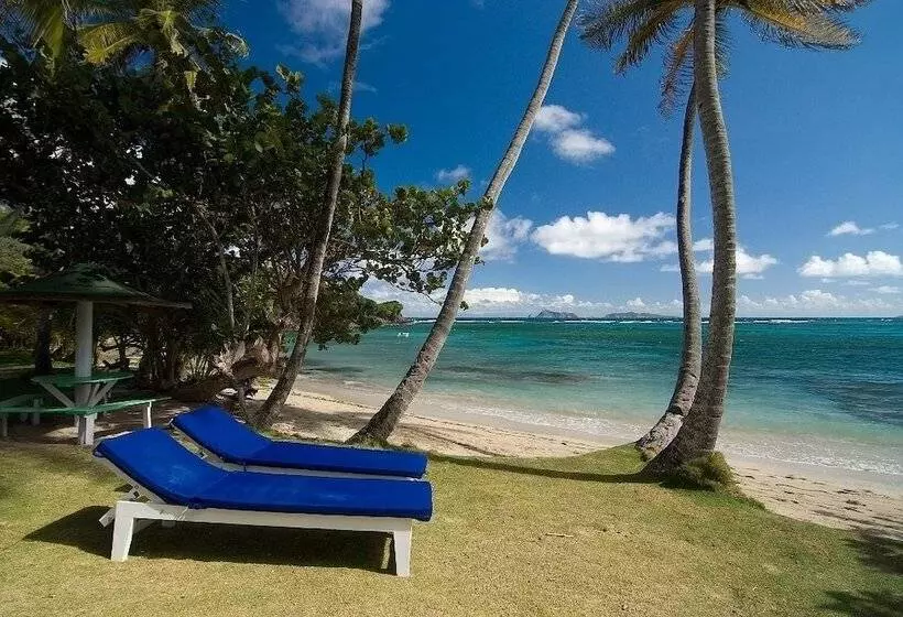 هتل Sugar Reef Bequia   Adults Only